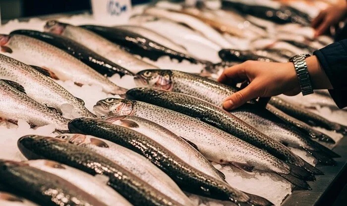 Определяются новые правила продажи рыбной продукции