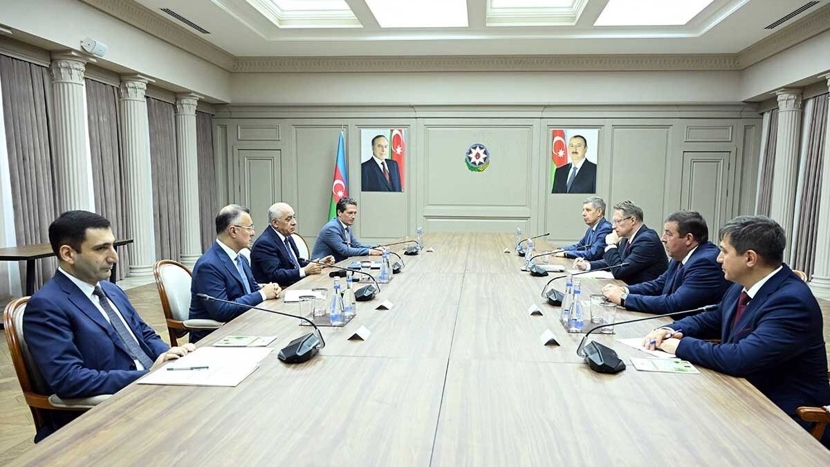 Али Асадов встретился с министром здравоохранения России
