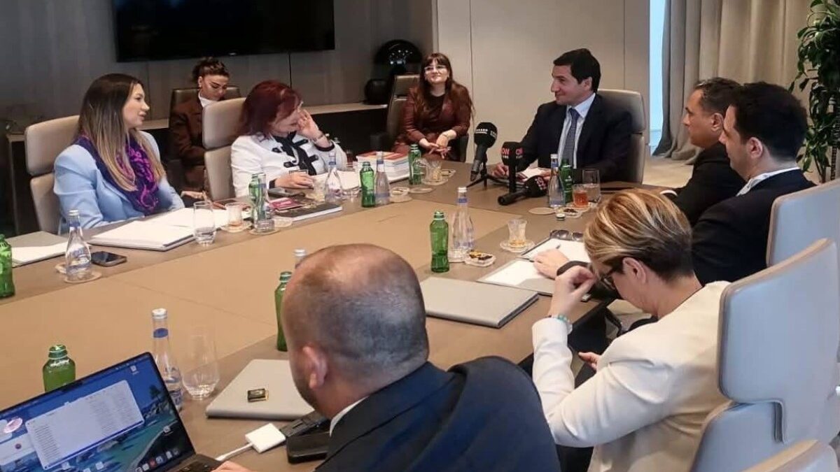 Хикмет Гаджиев принял делегацию TADİV