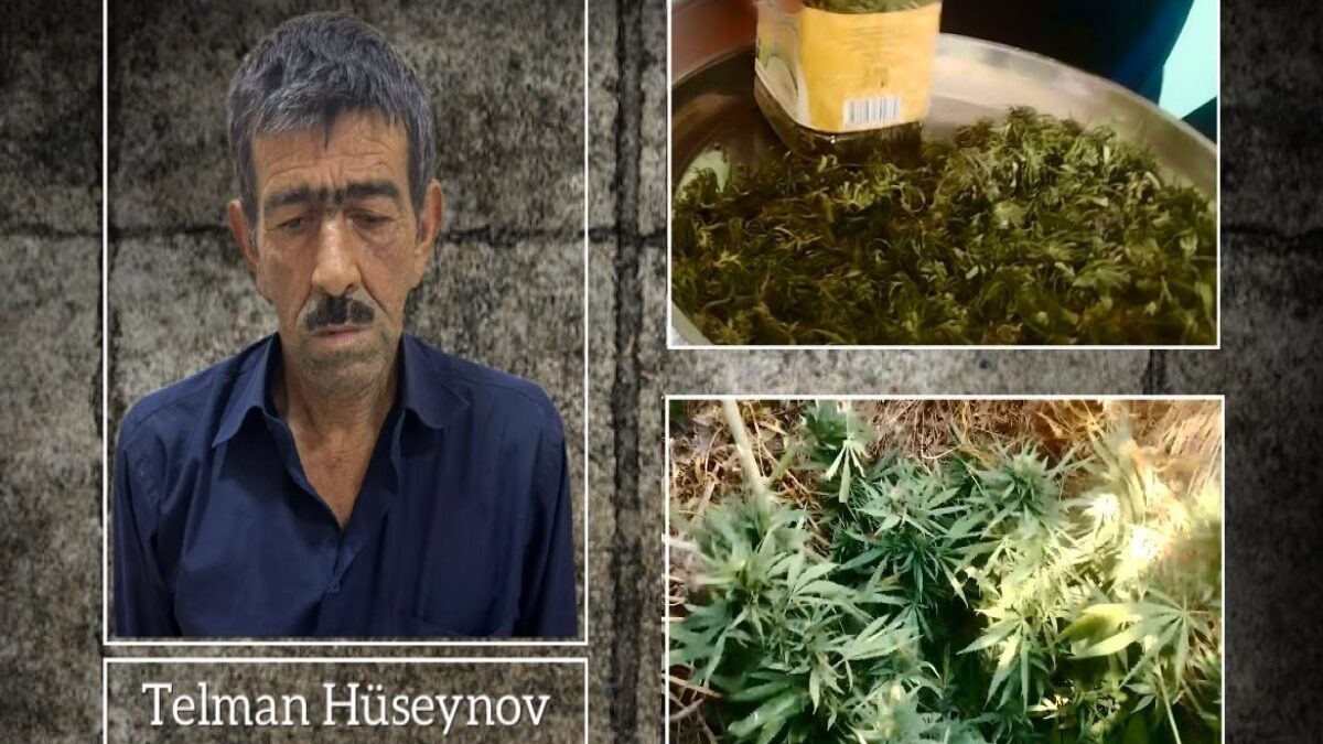В Лерике обнаружено 15 кг наркотиков