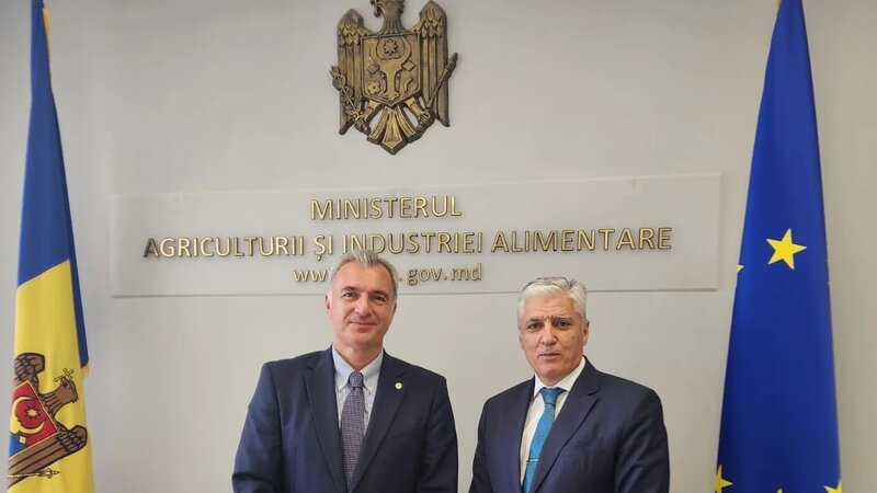 Обсуждено сотрудничество между Азербайджаном и Молдовой