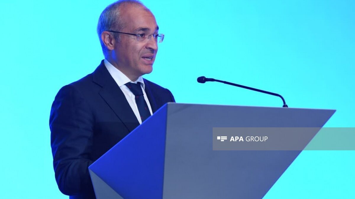 Микаил Джаббаров: Азербайджан стремится создавать добавленную стоимость за счет укрепления межрегиональных связей