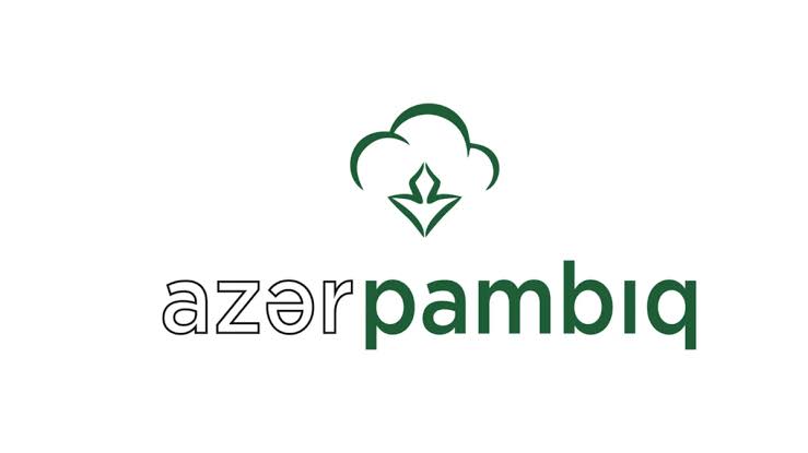 «Azərpambıq» увеличил экспортную выручку почти на 77 %
