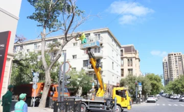 В Баку принимаются превентивные меры против ветра