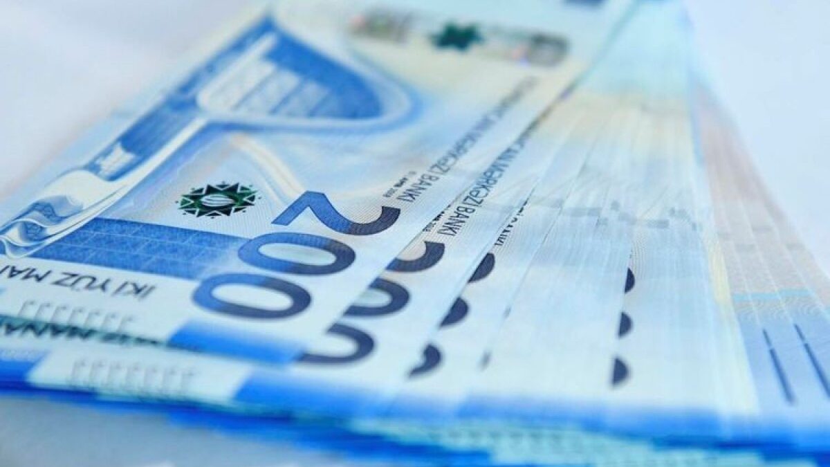 За 8 месяцев из государственного бюджета было возвращено 224,2 млн манатов