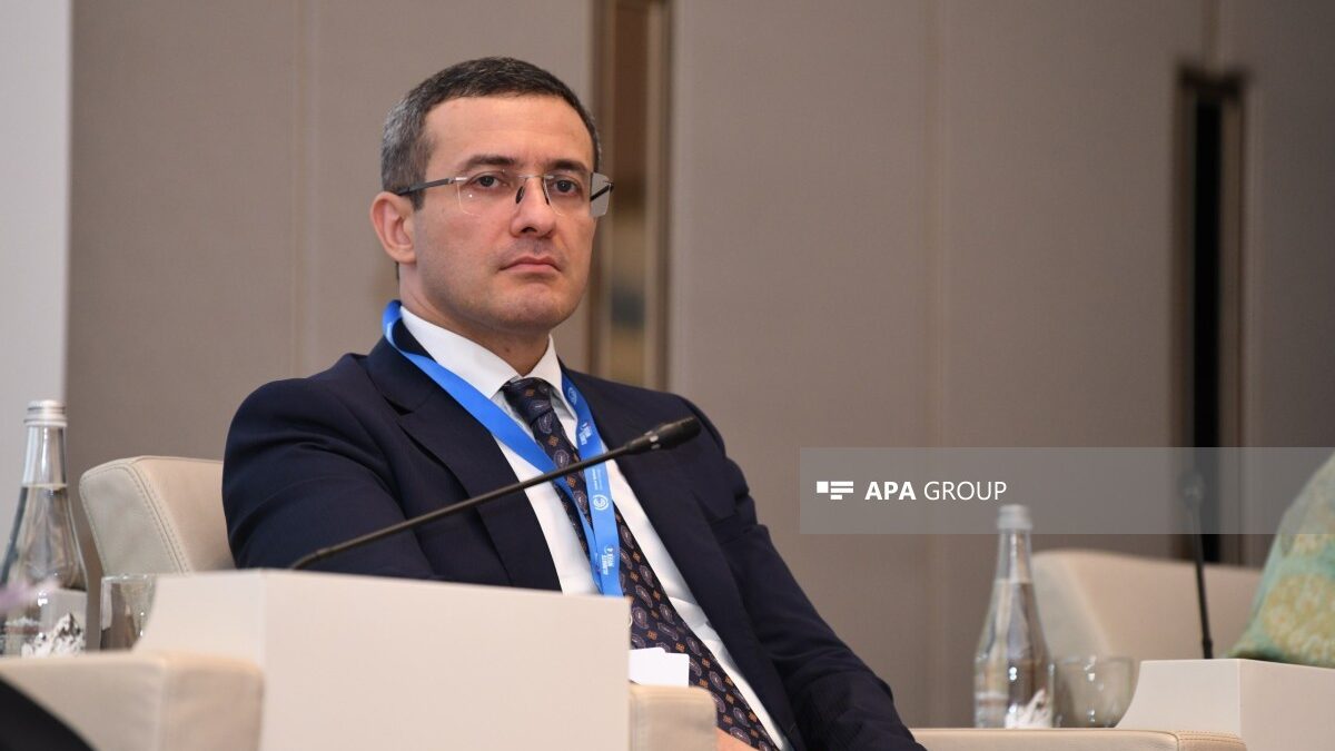 Директор: Проведение Азербайджаном COP29 внесло важный вклад в развитие климатической дипломатии
