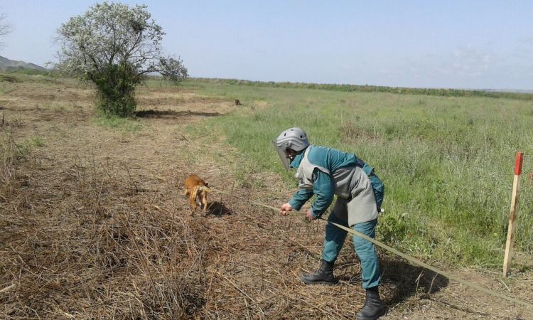 После Отечественной войны 438 человек подорвались на минах