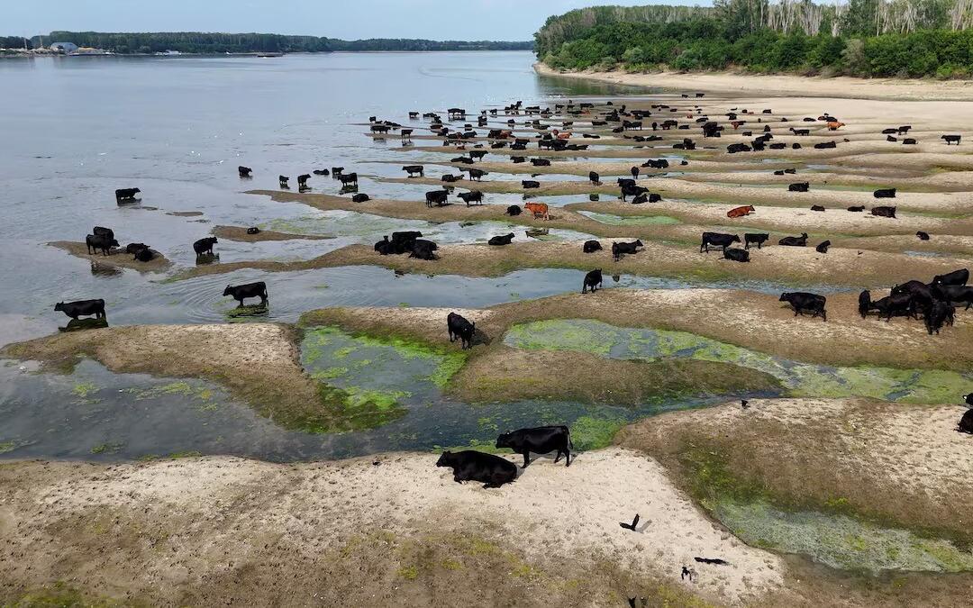 Рекордная засуха на реке Дунай: уровень воды упал до исторического минимума
