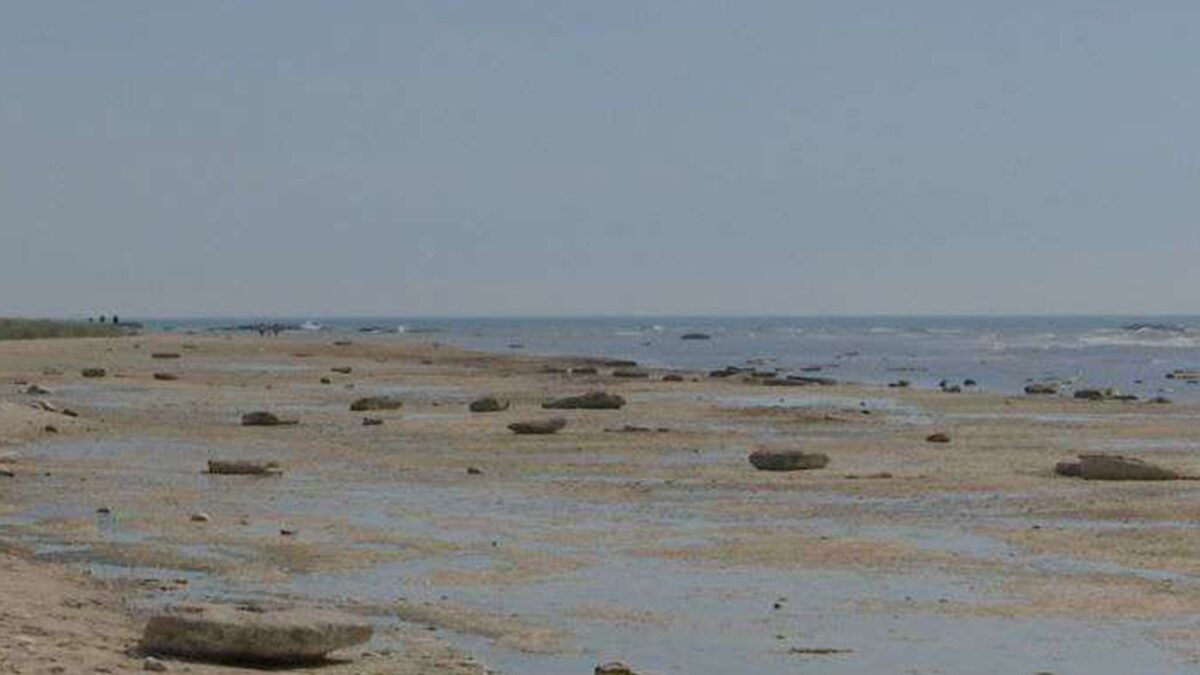 Тревога по поводу Каспийского моря: резкое сокращение уровня воды является не только экологической, но и экономической и стратегической проблемой – АНАЛИЗ