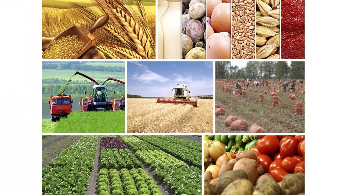 За 9 месяцев в Азербайджане произведено сельскохозяйственной продукции на 12 млрд. манатов