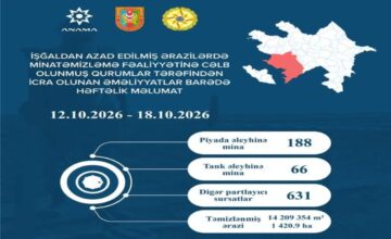 На освобожденных территориях обнаружено еще 256 мин, 631 неразорвавшийся боеприпас