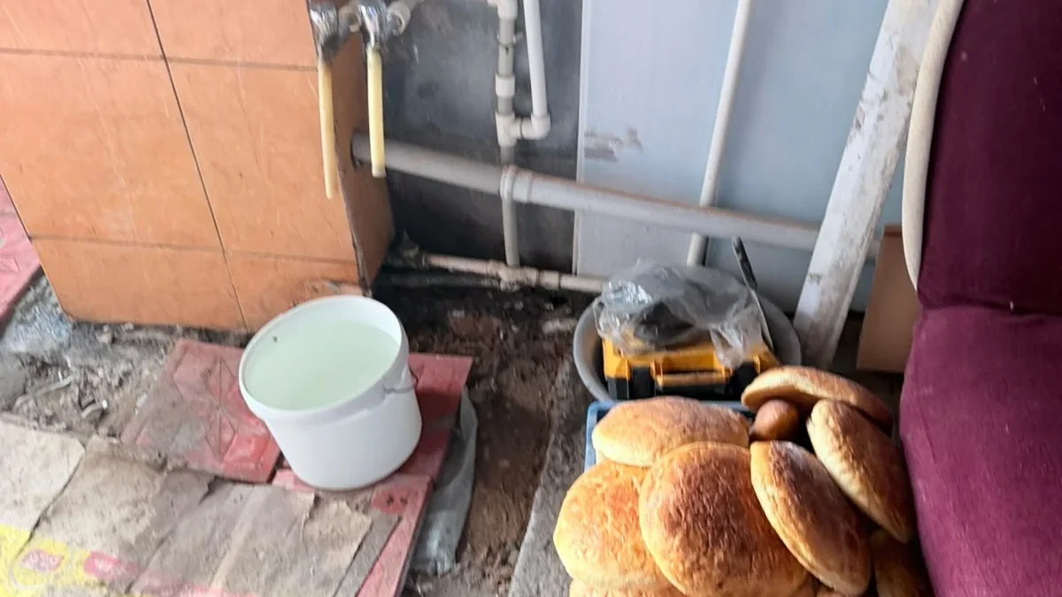 Агентство по пищевой безопасности: проведено контрольное мероприятие в отношении хлеба, перевозимого в антисанитарных условиях